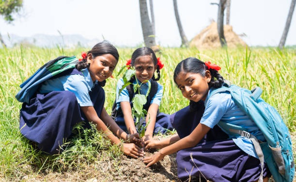 Environmental Sustainability
